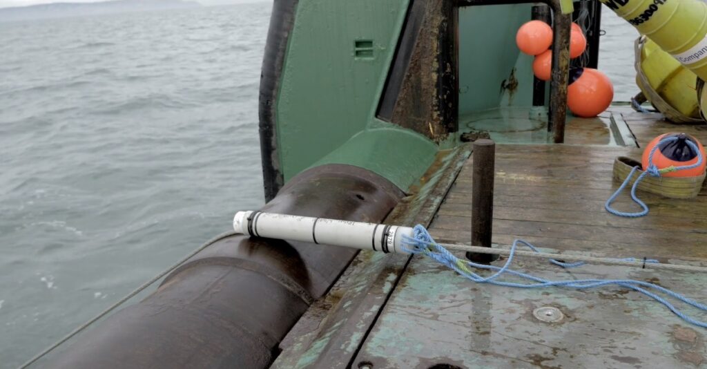 The Harbour Porpoise in Dublin Bay - ATU Marine and Freshwater Research ...