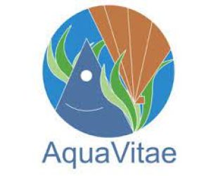 AV Logo