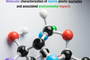 Project 7 Molecular MPs