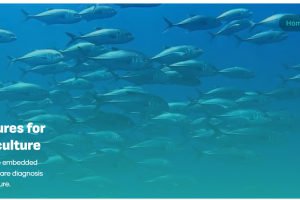 Screenshot 2026-03-09 153919