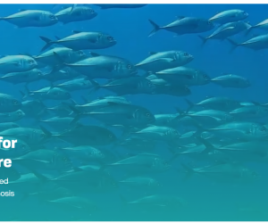 Screenshot 2026-03-09 153919