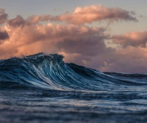 silas-baisch-ceITO2rlDgc-unsplash